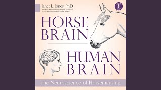 Chapter 10.9 - Horse Brain, Human Brain