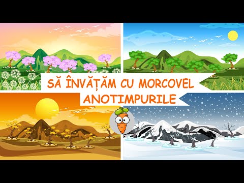 Sa invatam cu Morcovel - Anotimpurile