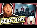 5 Seconds Of Summer - Lie To Me (Music Video) REACTION 5 Seconds Of Summer - Lie To Me (Music Video) REACTION