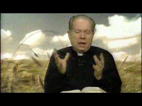 O Pão Nosso 18 Novembro 2014 -  Pe. F. C. Cardoso.