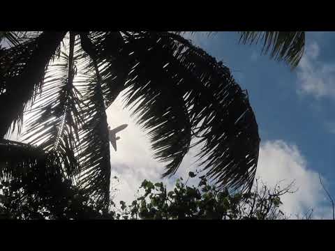 [RARE+LOUD] Air New Zealand | 777-219ER | All Black livery | take off Avarua Airport