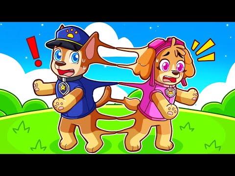 CHASE & SKYE ARE STUCK TOGETHER!