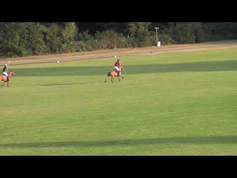 An Evening with Adolfo Cambiaso