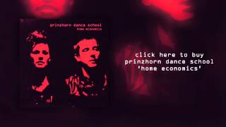 Prinzhorn Dance School "Clean" (Official Audio)