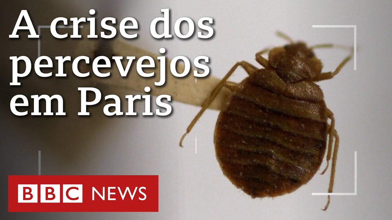 Percevejos tomaram Paris? O que está por trás de pânico na cidade-sede da Olimpíada