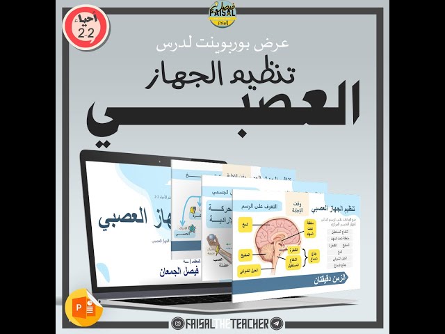 عرض لدرس تنظيم الجهاز العصبي - 04