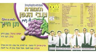 אלוקינו שבשמים - רועי ידיד ולהקת ענבי הגפן / ELOKENU SHEBASHAMAYIM