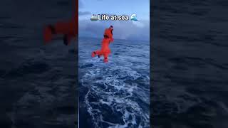 Download lagu Kehidupan di Laut 🌊 | Perjalanan Pelaut Sejati 🚢 #MerchantNavyinsider mp3