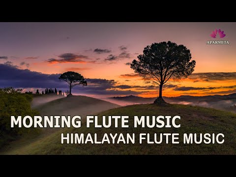 Morning Flute Music | Himalayan Flute Music | Meditation Music | (बाँसुरी) Aparmita Ep. 164