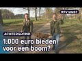 Paasstaakslepen: Jorèn (22) is de Judas van Denekamp | RTV Oost