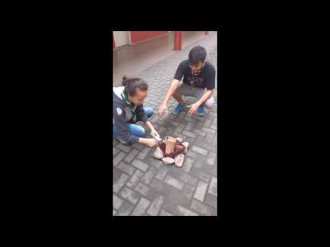 Tarefa 22 - The Wachowski