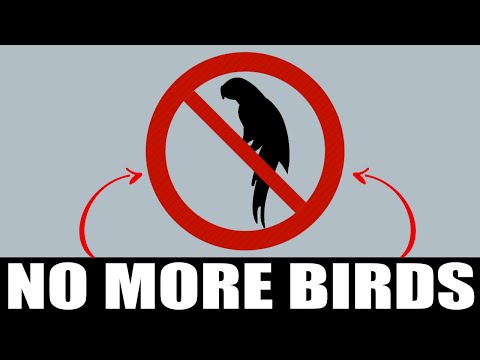 Sound To Scare Birds Away | ONE HOUR