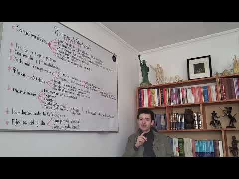 Protection Appeal (constitutional action for protection)