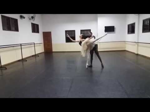 PDD Harlequinade - Luiza Falcão e Rui Cesar