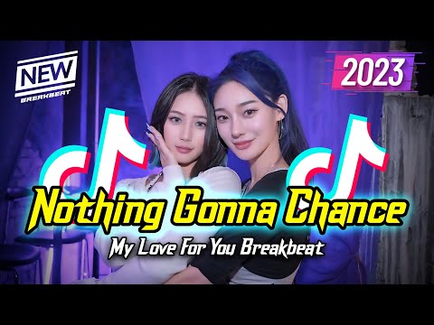 DJ Nothing Gonna Change My Love For You Breakbeat Remix 2023