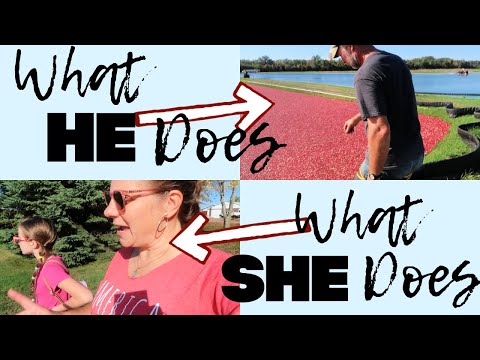 A Full CRANBERRY HARVEST Week | 👨🏽‍🌾What HE Does | 👩🏽‍🍳What SHE Does