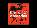 Aints - Like An Oil Spill