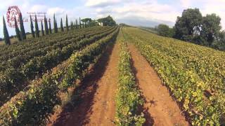 preview picture of video 'Azienda Agrituristica La Sassetta - Le tue Vacanze in Toscana'