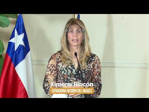 Senadora Rincón y retiro del 10 por ciento: “Presidente no vete ni vaya al Tribunal Constitucional”