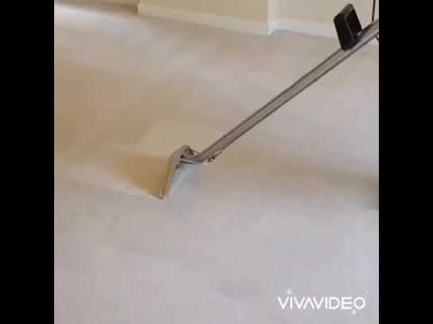 Best Local Carpet Cleaners video.