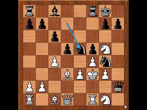 Besmrtna Poljska šahovska partija ☆ Žrtve nisu važne pobeda je važna ☆ GLUCKSBERG vs NAJDORF # 1677