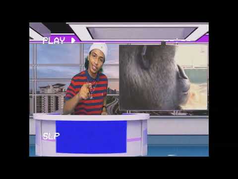 #RATCHETGOD - "YOSHIMITSU" OFFICIAL MUSIC VIDEO 🦍🦍🦍 #GORILLAWARFARE #GORILLASHIT #HOLYFUCK #WOWEE