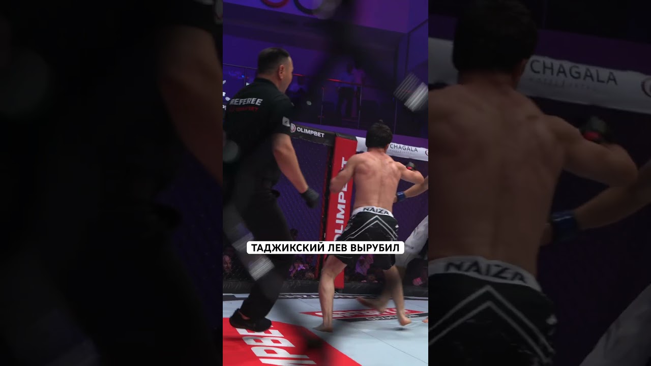 видео