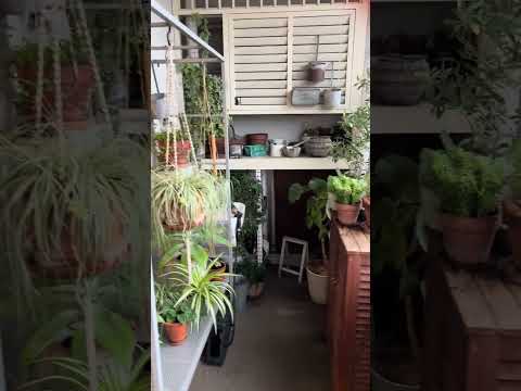 jardinière-balcon-seaux-zinc-lavande-trellis-palettes-bois