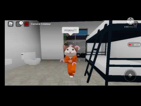 DANS LA VIE EN FAIT CACA(Brookhaven rp)