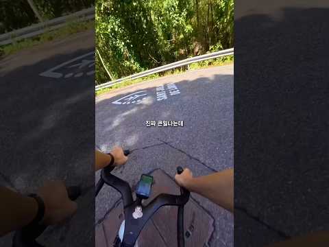 절대로 함부로 꺾지 마시오