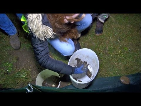 Behandlung von Gelenkentzündung durch Bubnovsky Herniated lumbalen Behandlung von Exazerbationen