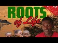 All Praises J Saviour Roots Of Life Album Answer Riddim