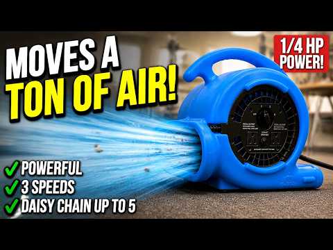 Carpet Fan Lowes