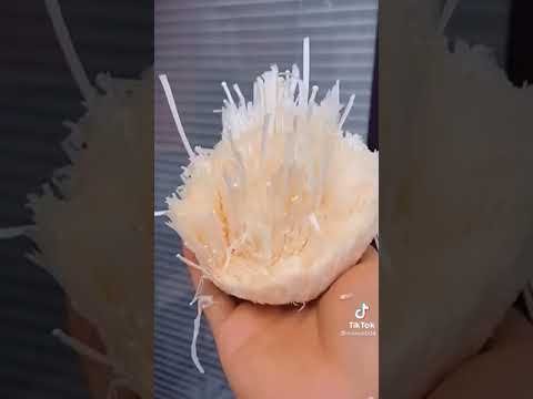 ice cream lover❤️ video by ubaid khan