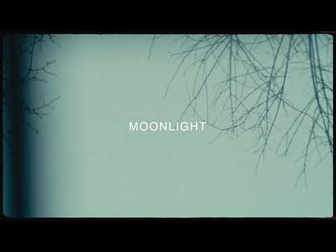Coyote Theory - Moonlight (Official Lyric Video)