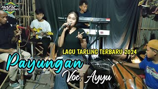 Download lagu PAYUNGAN ~ COVER TARLING CIREBONAN TERBARU 2024 mp3 Download lagu PAYUNGAN ~ COVER TARLING CIREBONAN TERBARU 2024 mp3