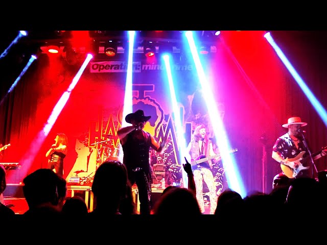 Video preview