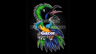 Download lagu Suara Masteran Cucak Cungkok Gacor Tembakan Rapat | sangat ampuh mp3 Download lagu Suara Masteran Cucak Cungkok Gacor Tembakan Rapat | sangat ampuh mp3