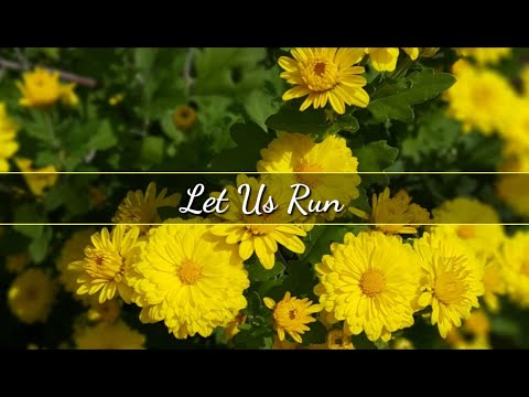 Christian Song w/ Lyrics: Let Us Run by Nebblett Family
