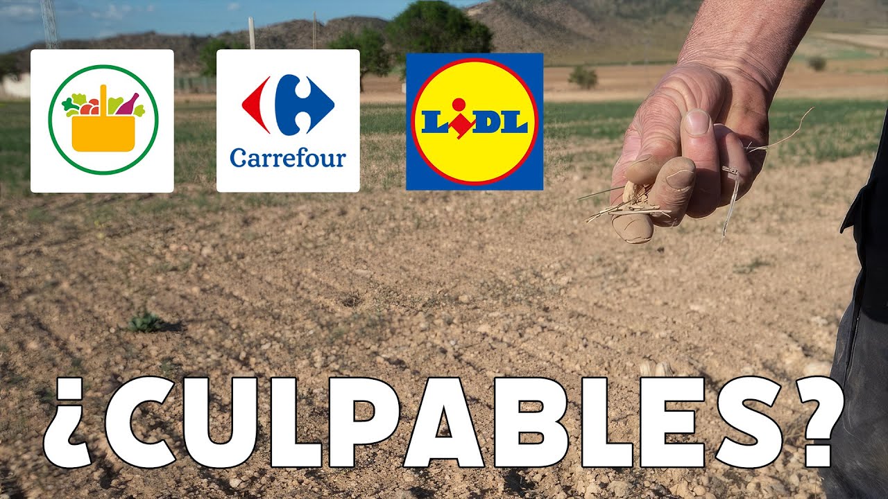 ¿Es Mercadona culpable de la ruina del campo? La explicación definitiva de Juan Ramón Rallo