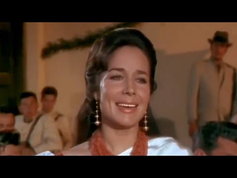 Una limosna (video musical de Flor Silvestre) HD