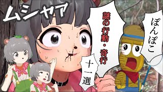 【ぽこぴー切り抜き】ぽんぽこ 謎の言動・奇行 11選(かわいい)