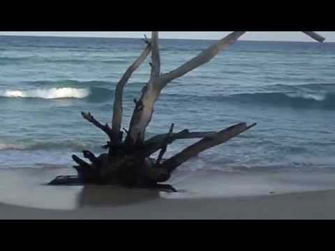 MALACCA BEACH OF CAR NICOBAR ISLAND, AS ON( 27- 01- 2014),ANDAMAN, INDIA