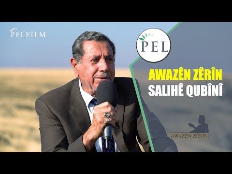 AWAZÊN ZÊRÎN - SALIHÊ QUBÎNÎ
