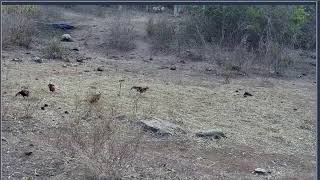 Thumbnail del capítulo