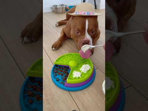 Breakfast for Choco 💞