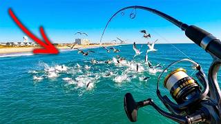 PIER FISHING BLITZ