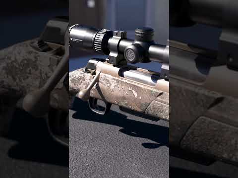 Overrated or Underrated? Winchester XPR Bolt-Action Rifle