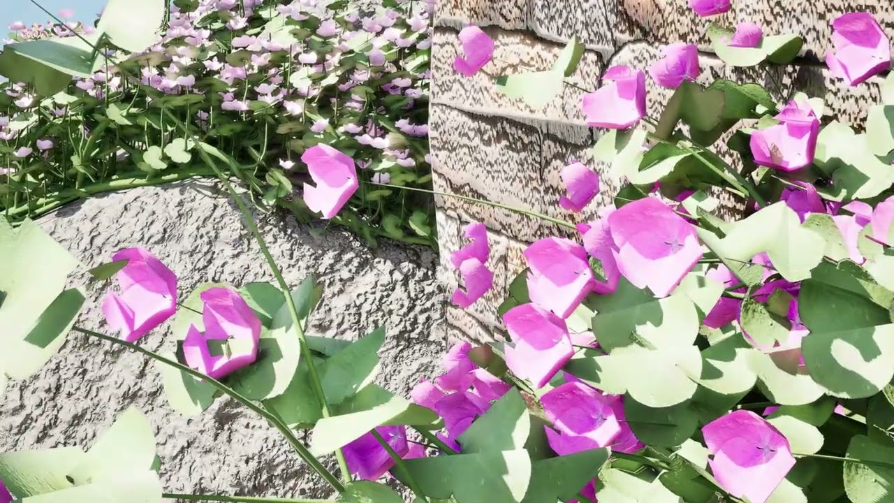 Ivy-Leaved Toadflax Pack 3D Model