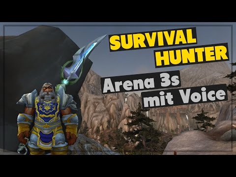 7.1 Survival Hunter Arena PvP: 3s mit Voice (1,8k MMR)
